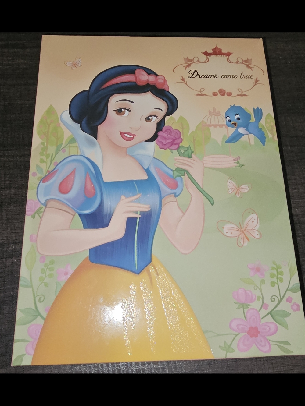Snow White Palatte With 117 Eyeshadows. Inclues Blush And Bronzer.  New